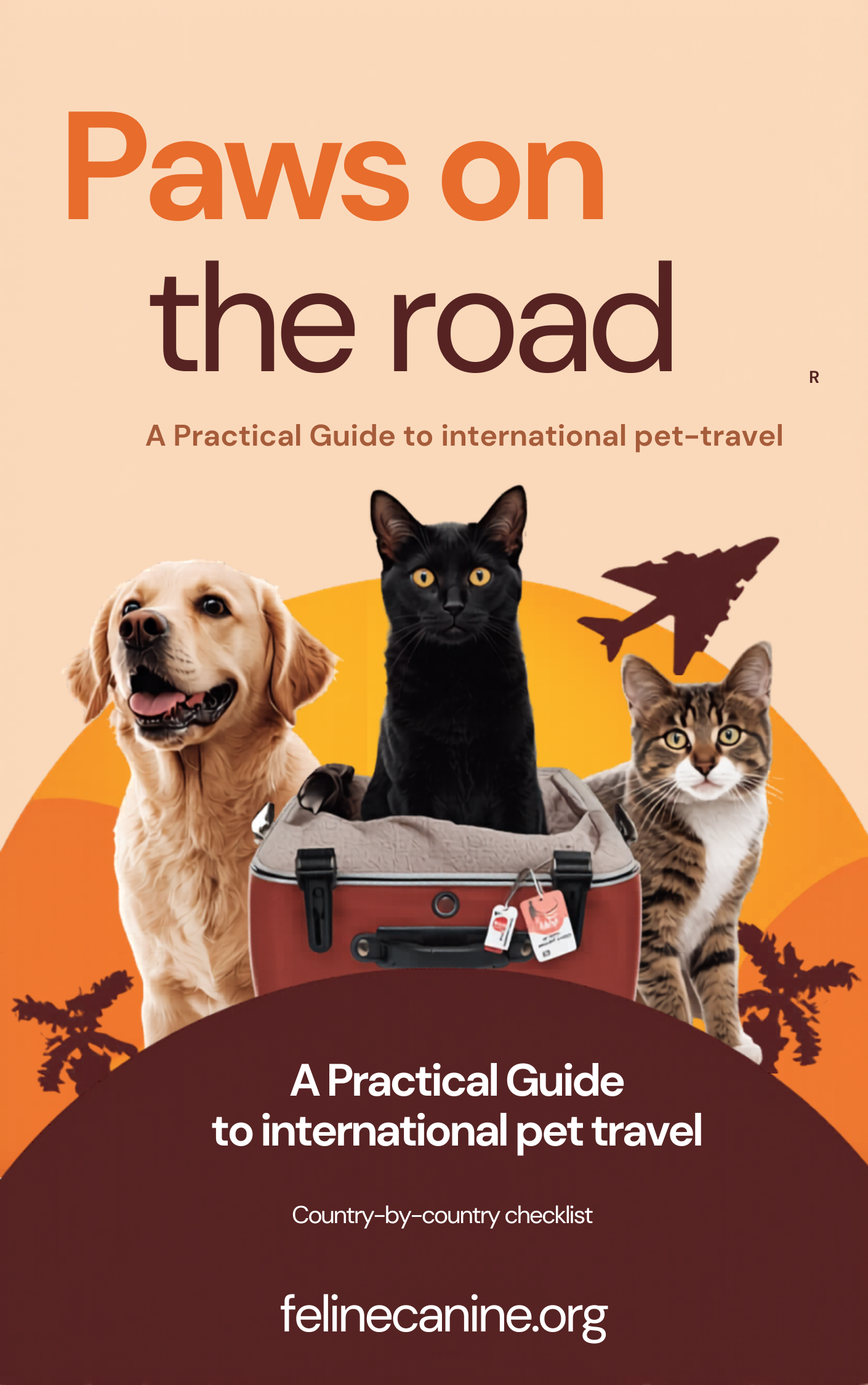 Paws on the Road: A Practical Guide to International Pet Travel
